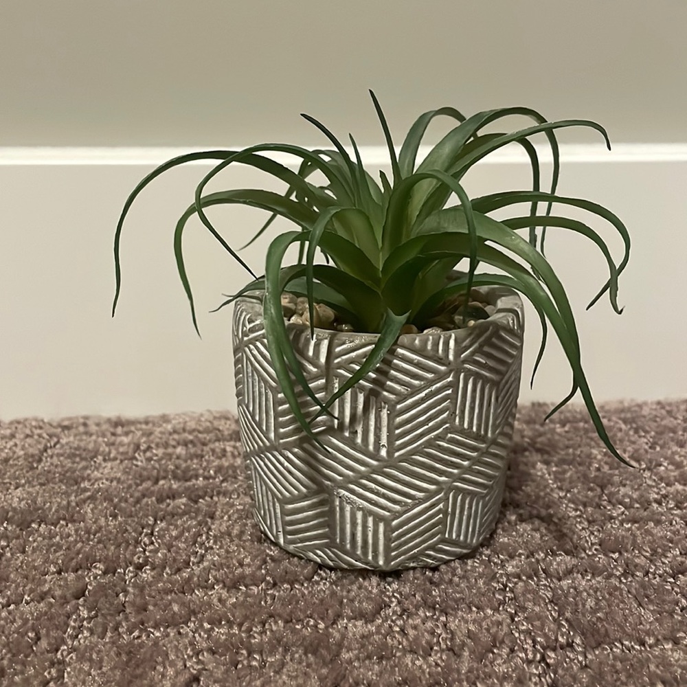 Hobby Lobby Fake Plant